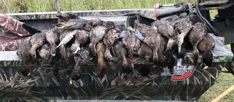Row of ducks laid along the side of a camo Uncle J boat