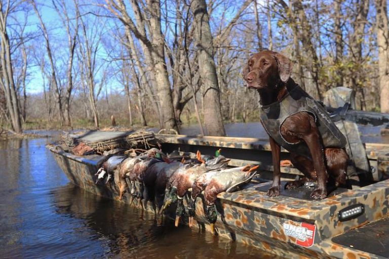 Duck Hunting Boats 97