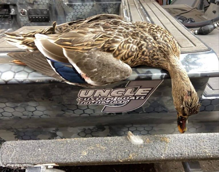 Duck draped over the Uncle J Custom Boats logo on a camo boat