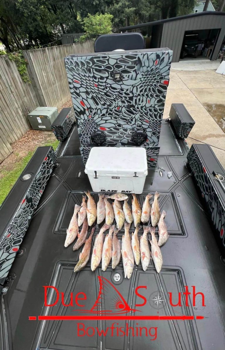 Due South Bowfishing boat deck with a row of fish laid out in front of the console